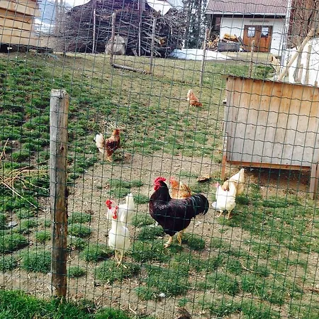 Ferienhof Formegg Nebengebaude